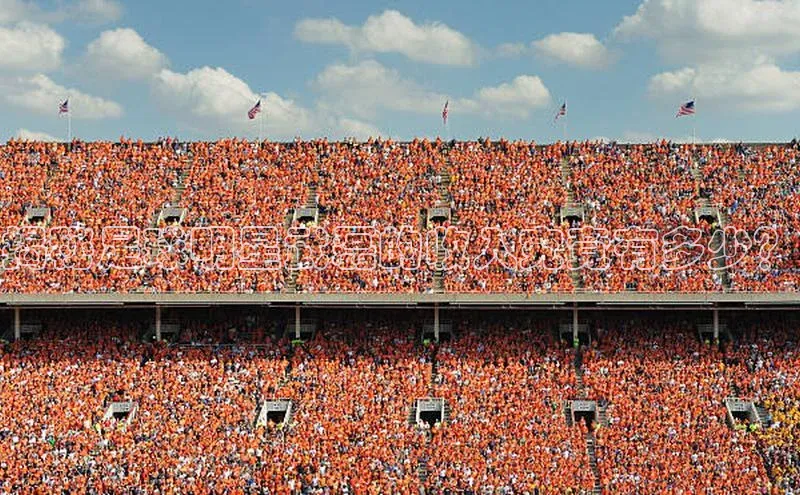 意昂4凯捷娱乐京东