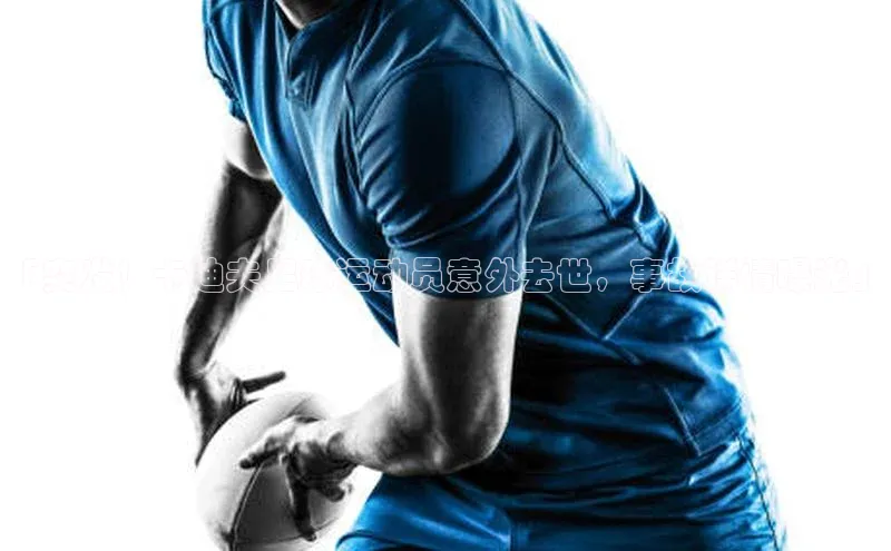 凯捷娱乐阿里尔公司