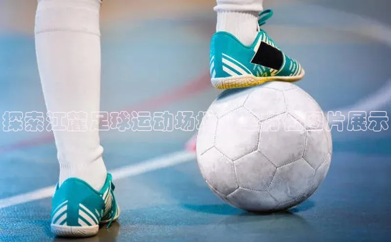 凯捷娱乐阿里尔公司