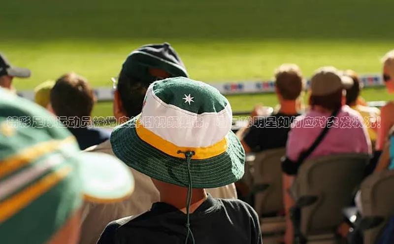 意昂4凯捷体育江铃新能源