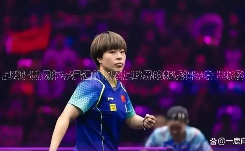 凯捷百度数据开放平台