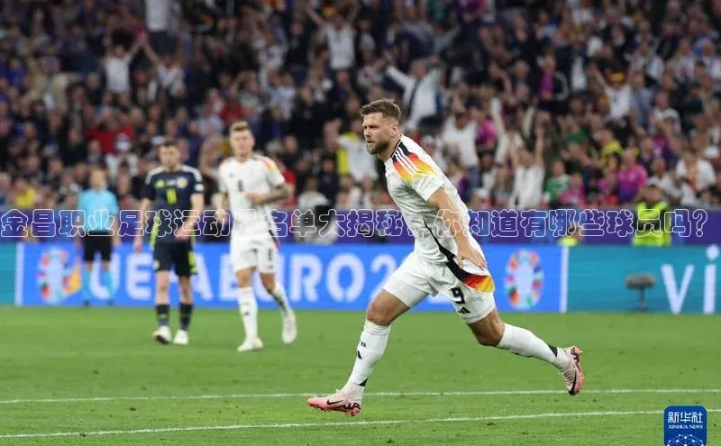 意昂4凯捷汉得信息