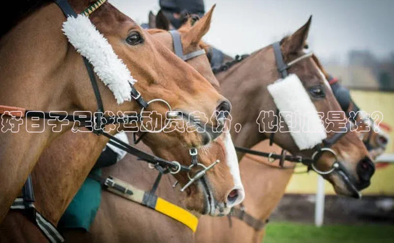 凯捷体育百度信誉